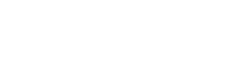 Flug weiss
