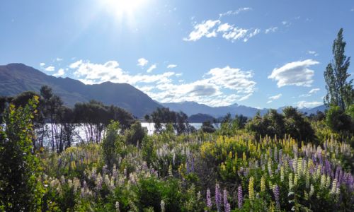NeuseelandLake Wanaka 1