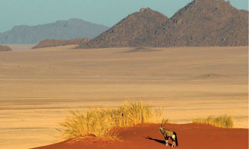 Namib Rand