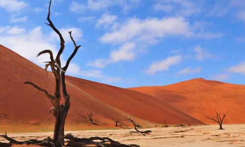 Sossusvlei