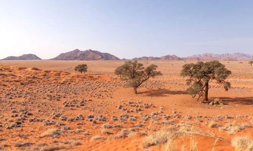 NamibiaSossusvleiElimDuneWalk