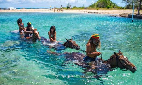 JamaikaPferde reiten und schwimmen