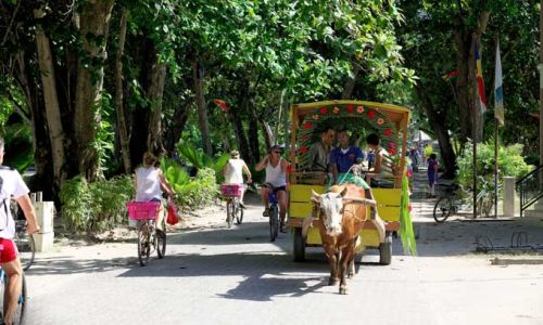 SeychellenSeychellen Oxcart La Digue