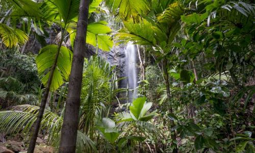 SeychellenSeychellen Waterfall Vallee