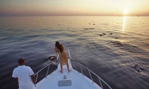 HotelMaledivenSonevaFushi Dolphin Cruise