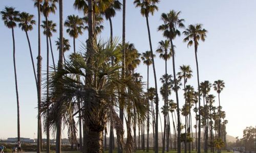 CaliforniaSantaBarbara9