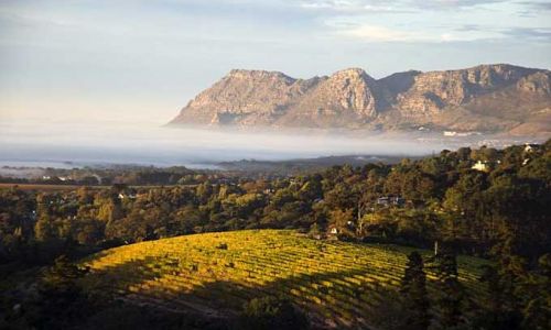 Weinregion Südafrika - Franschhoek