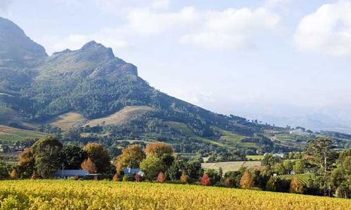 SuedafrikaStellenboschClouds Wine Estate