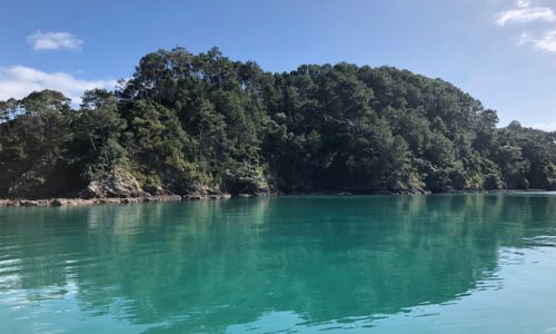 Neuseelandbay of Islands 2