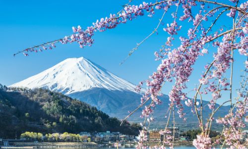 JapanTokioTokyo Mt Fuji during cherry