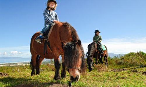HotelSuedafrikaGrootbosAktivitaet Reiten Pony