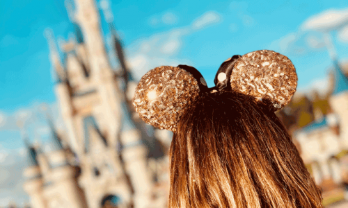 FloridaOrlandoDisney 2