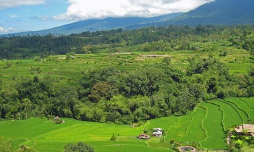 IndonesienBali Landschaft