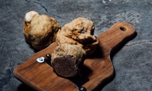 KroatienBaleTrueffel pNIr0myHMSg unsplash