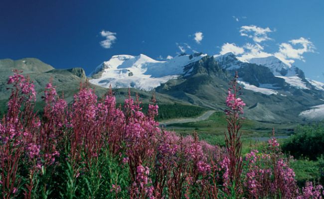 Jasper National Park im Sommer