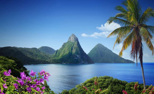 Blick auf den Piton - Saint Lucia