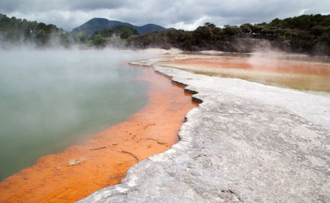 NeuseelandThermalgebiet Rotorua 1