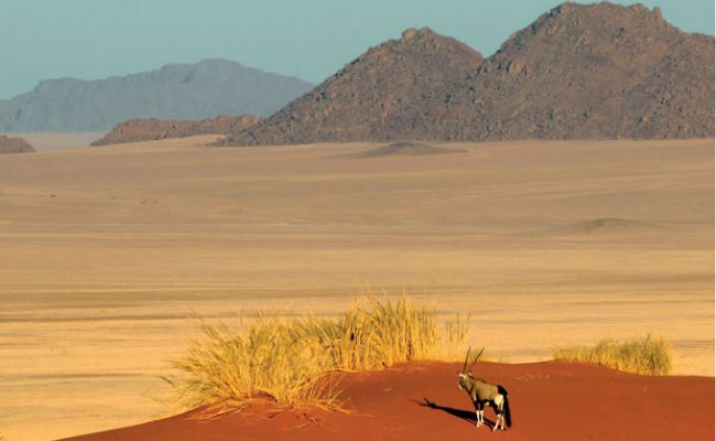 Namib Rand