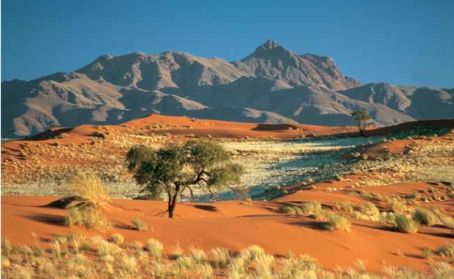 Namib Rand
