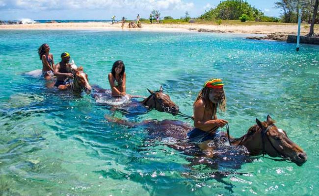 JamaikaPferde reiten und schwimmen