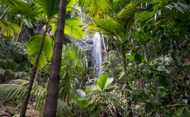 SeychellenSeychellen Waterfall Vallee