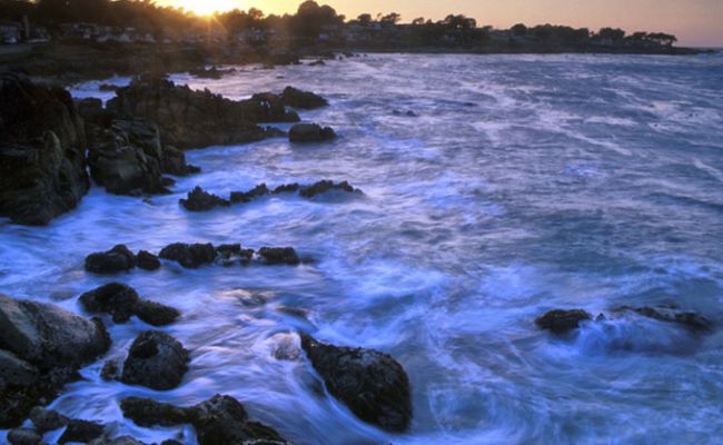 CaliforniaMonterey3