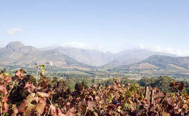 SuedafrikaFranschhoekCabriere Wine Farm