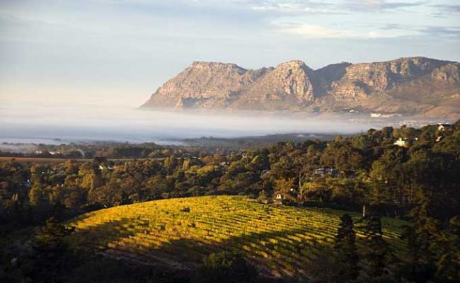 Weinregion Südafrika - Franschhoek