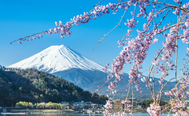 JapanTokioTokyo Mt Fuji during cherry