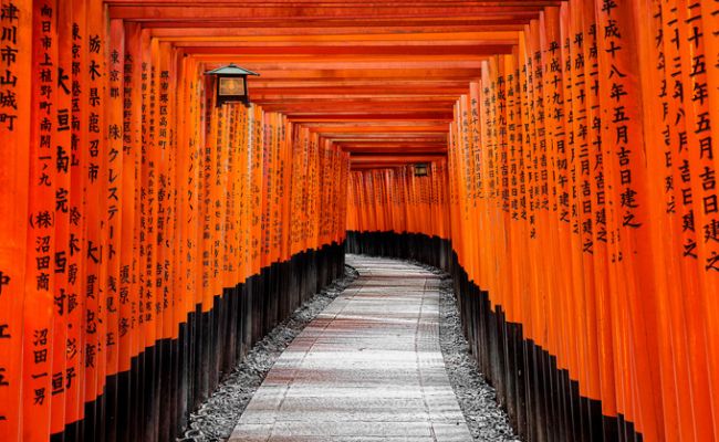 JapanKyotoKyoto Fushimi Inari torii