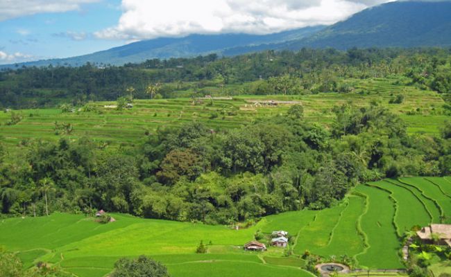 IndonesienBali Landschaft