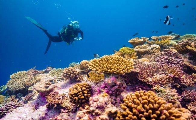HotelMaledivenBaglioni Resort Maldives Diving Excursion 1