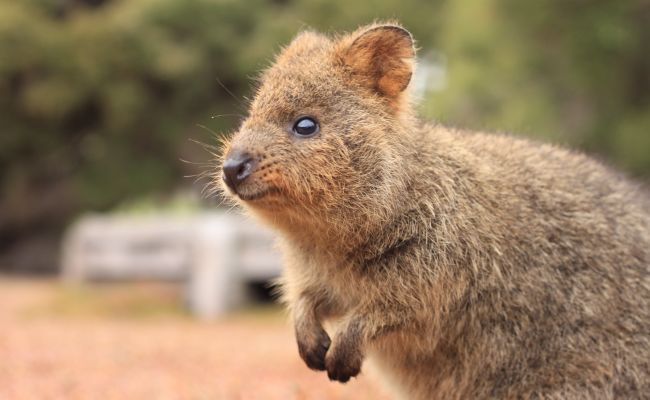 Photocredit: Tourism Australia