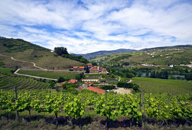 HotelPortugalSix Senses Douro ValleyExterior panorama