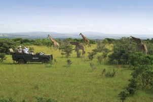 Kariega Game Reservat