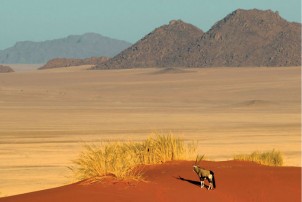 Namib Rand