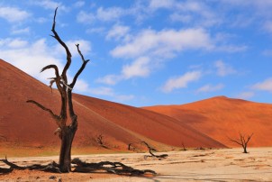 Sossusvlei
