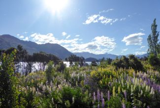 NeuseelandLake Wanaka 1