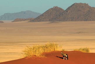 Namib Rand