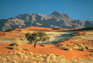 Namib Rand