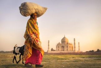IndienAgraTaj Mahal Woman