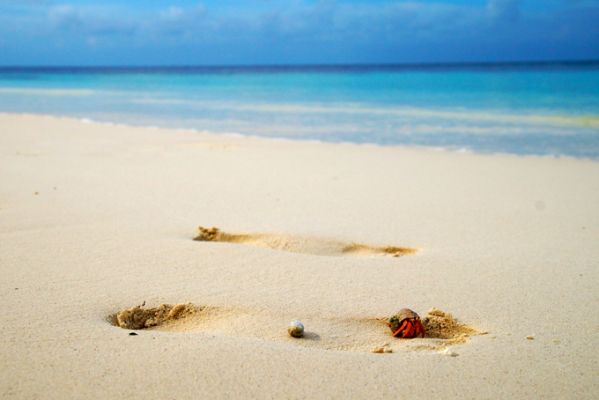 Strand auf den Malediven