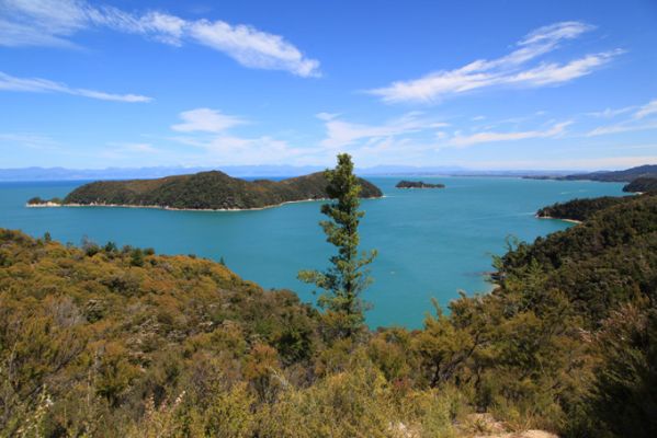 NeuseelandAbel Tasman Nationalpark 3