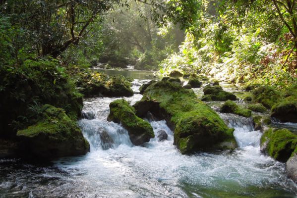 Reach Falls - Jamaica Tourist Board