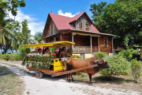 SeychellenLaDigue OxCart