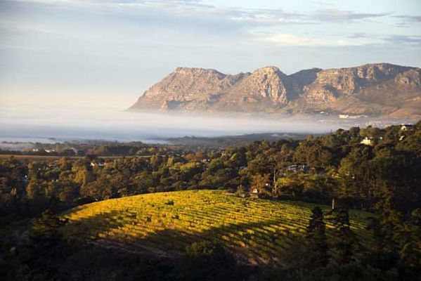 Weinregion Südafrika - Franschhoek