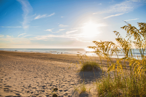 FloridaAmeliaIsland Strand