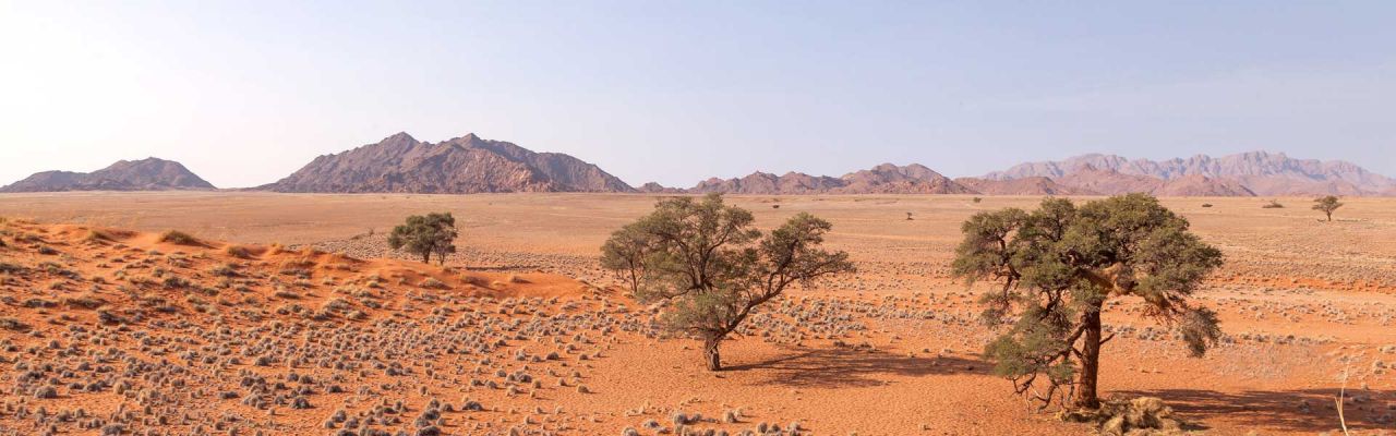 NamibiaTeaser Sossusvlei