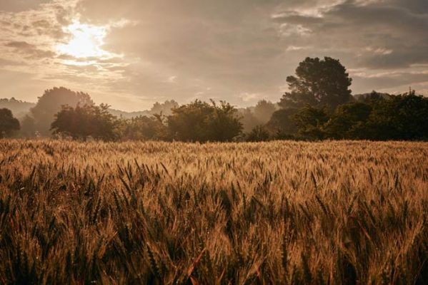 HotelSpanienIbizaSix Senses IbizaThe Farm