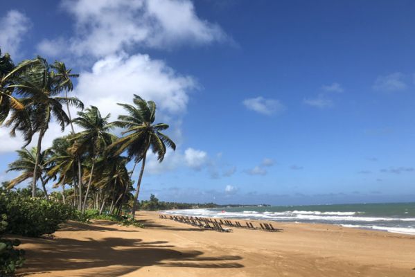 Puerto RicoRio GrandeWyndham Strand